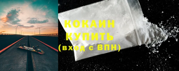 дурь Бронницы