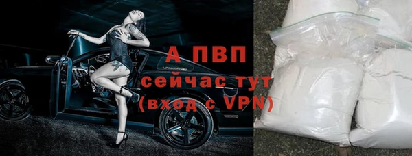 2c-b Бородино