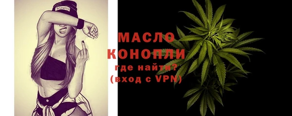 2c-b Бородино