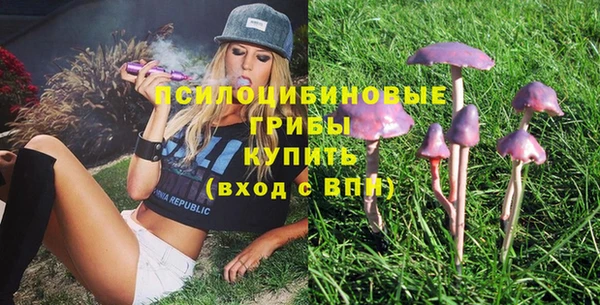 дурь Бугульма