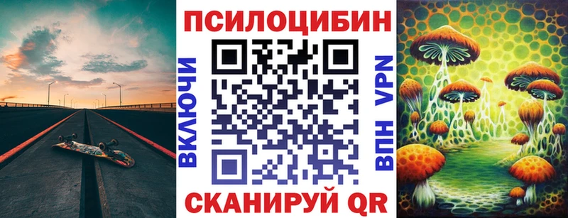 закладки Горячий Ключ Псилоцибиновые грибы GOLDEN TEACHER